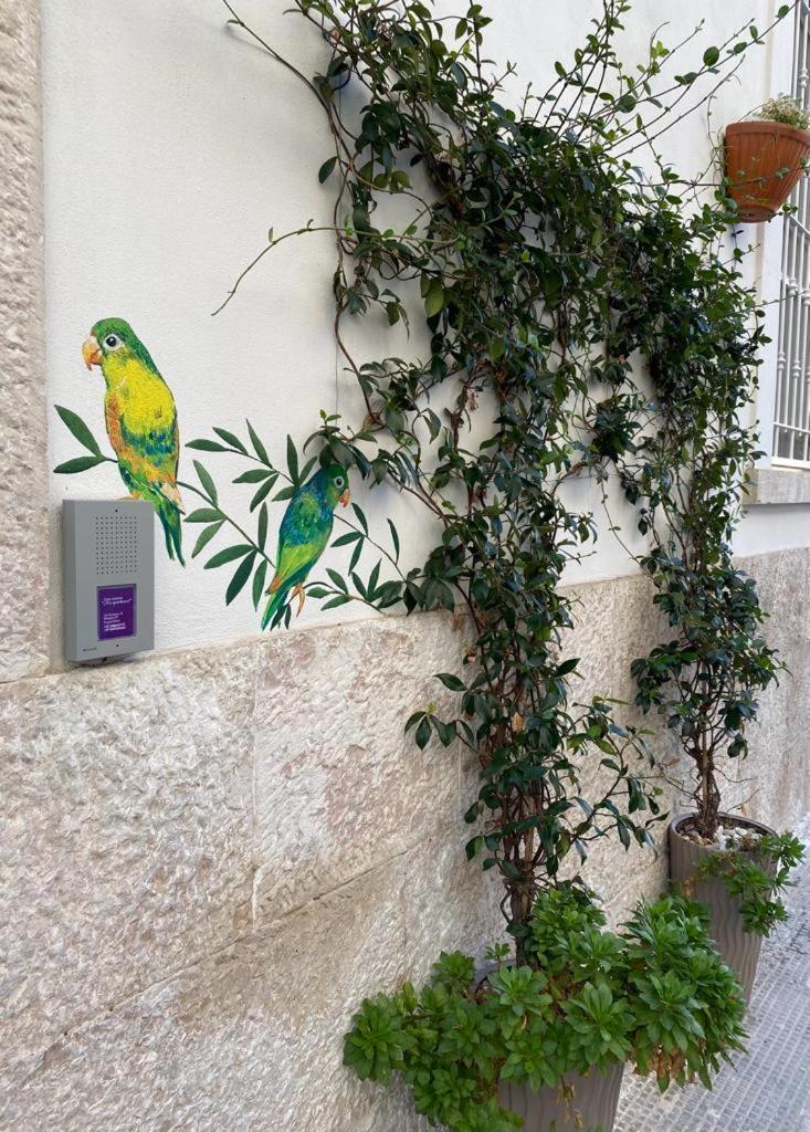 Iris Apartment Bisceglie Extérieur photo
